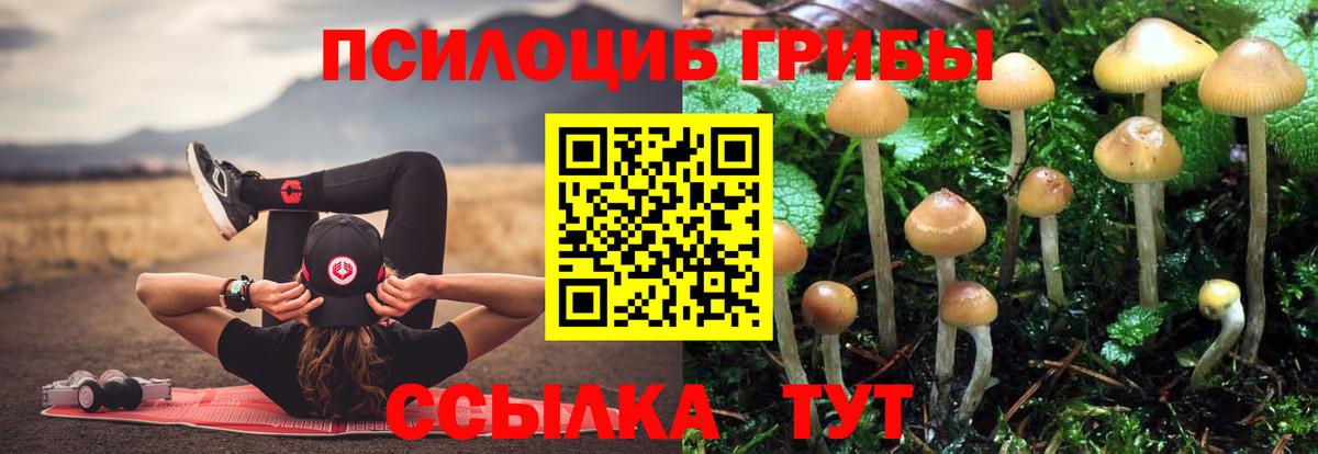 Лесосибирск  Галлюциногенные грибы Cubensis  Галлюциногенные грибы мухоморы  Вход с VPN 