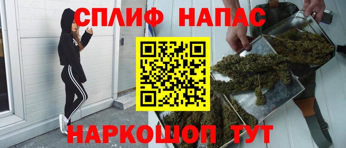 Бошки Шишки семена Лесосибирск